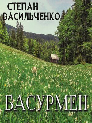 cover image of Басурмен